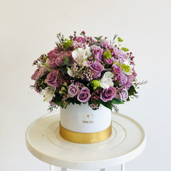 Quicky's Product Image