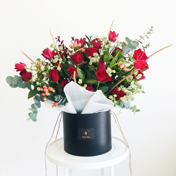 Quicky's Product Image