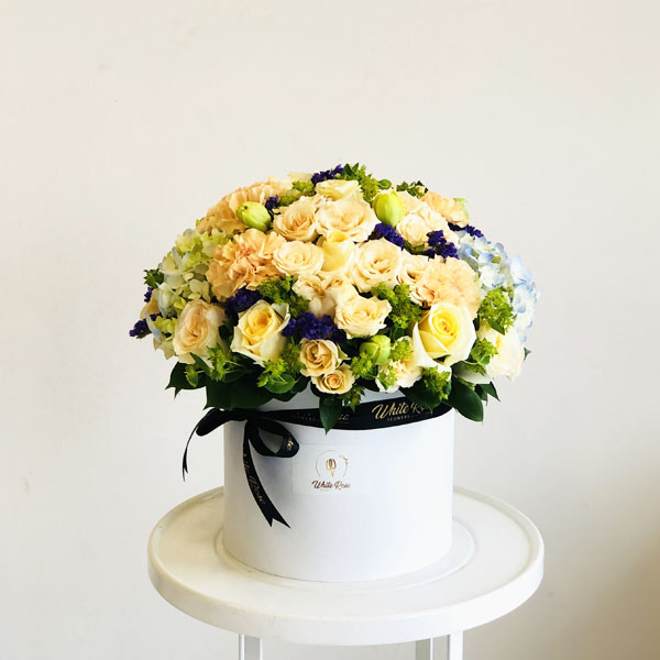 Quicky's Product Image