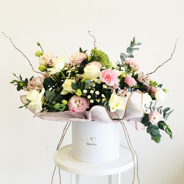 Quicky's Product Image