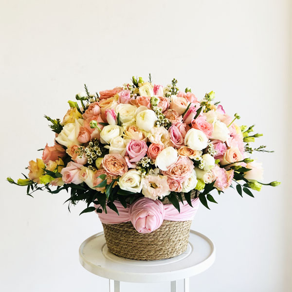 Quicky's Product Image