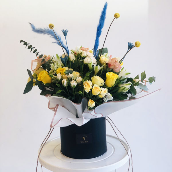 Quicky's Product Image