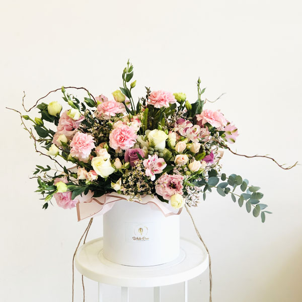 Quicky's Product Image