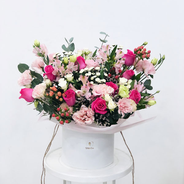 Quicky's Product Image