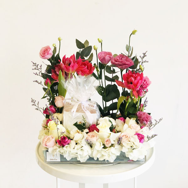 Quicky's Product Image