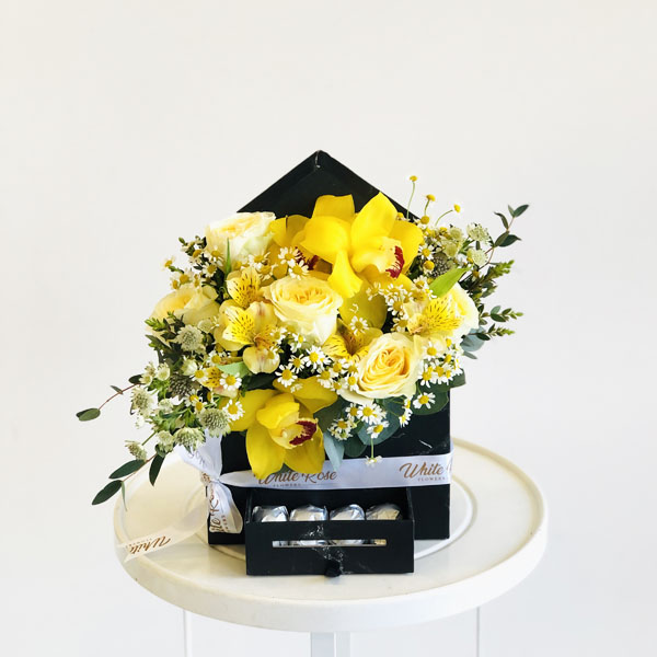 Quicky's Product Image