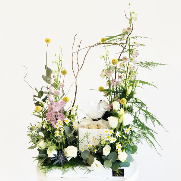 Quicky's Product Image